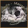 India Massage
