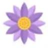 India Online Florists