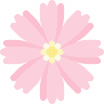 In Full Bloom Florists