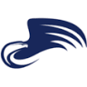 Colonial Insurance Services Inc