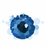 Insight Eye Care