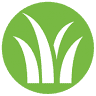 Instant Lawn Adelaide