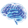 Hearing and Brain Centers of America - Richfield