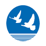 International Sea Pigeons