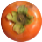 Interwoven Permaculture