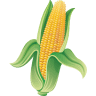 Iowa Corn Growers Association