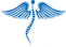 Interventional Pain Management & Ortho-Spine Center