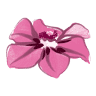 Irmis Blumenhain