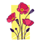 International School of Belgium