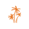 Islands Restaurant Anaheim Hills