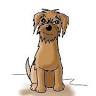 Islas Styles Dog Grooming