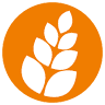 Itau - Instituto Técnico de Alimentação Humana
