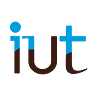 IUT Q.L.I.O. université bordeaux