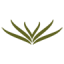 Ixthus Medical Suppy Inc