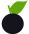 Jabuticaba Gastronomia