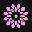 Jans Flowers