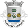 Junta De Freguesia Pindelo Milagres