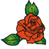Jilderda's Flower Shop