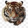 Jim Corbett National Park