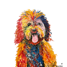 JJ Barrs Behaviourist: 121 Dog Training
