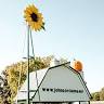 Johnson Farms Plants and Pumpkins