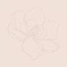 Jolie Cosmetics Beauty & Skin Expert
