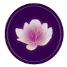 Julianne Steiner Skincare Studio