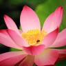 Journey Through Life Yoga