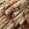 Jual Kayu Dolken Murah