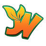 Jungle World Leyland - Play Park