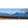 Kachemak City Clerk