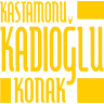 Kastamonu Kadıoğlu Konak
