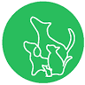Kaji Animal Clinic