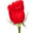 Kaleidoscope Florist & Designs