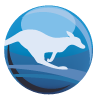 Kanguru Solutions