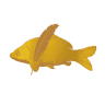 Karp-Schreiber