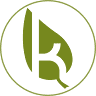 Kartonplan