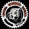 Flott Cascaders team