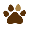 Kato Cat Dog Hospital