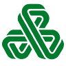 Kayalarboya Online Boya Market
