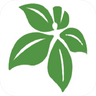 Kedvon Pharmacy