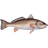 kelly parks fishing hunting guide service