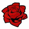 Keltic Rose Photography