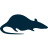 Kent Scientific Corporation