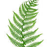 Keocabins.com