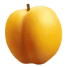Кейс ООД