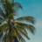 Key West Mortuary