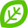Kids Forest