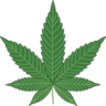 Grow & Headshop kif-kif