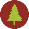 Camper's City RV Resort